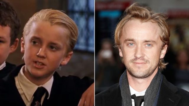 Tom Felton Net Worth Relationship, Bio, Cars, House, Awards