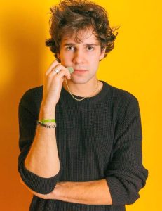 David Dobrik