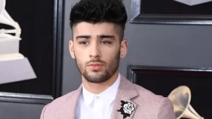 Zayn Malik Net Worth