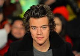 Harry Styles Net Worth Relastionship Bio, Cars, House,Relationship Awards