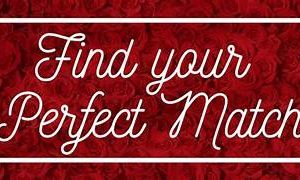 Finding Your Perfect Match