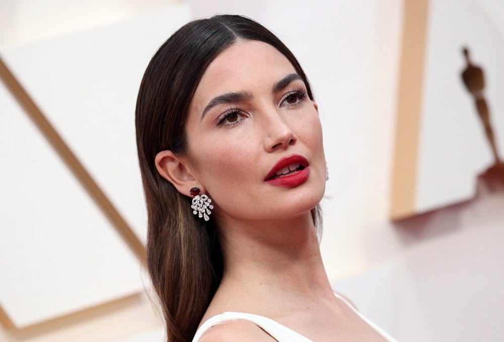 lily aldridge biography